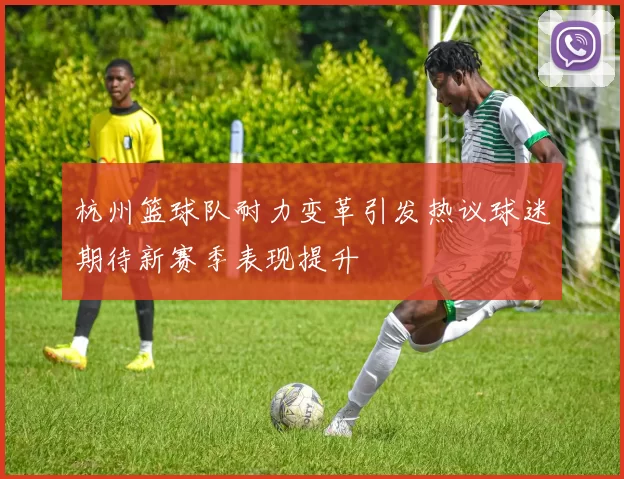 杭州篮球队耐力变革引发热议球迷期待新赛季表现提升